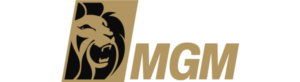 BetMGM Casino Recension